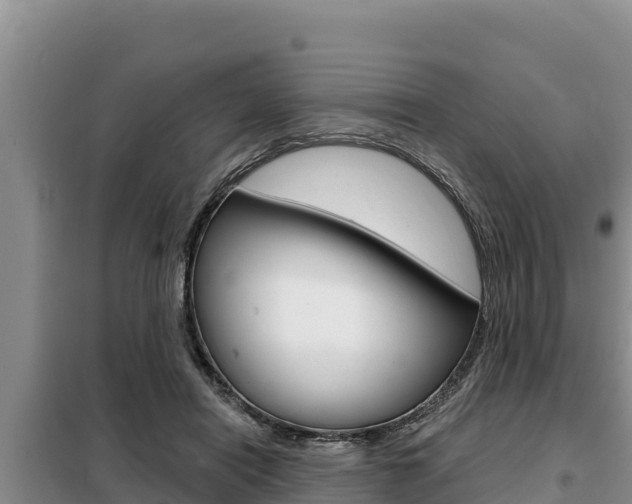 X0000099420454200805090755