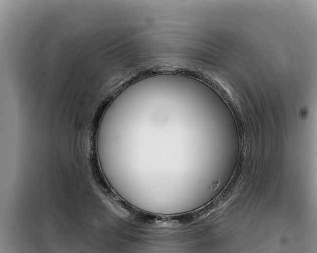 X0000099420455200805090755