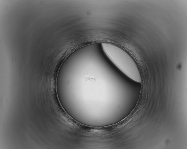 X0000099420457200805090755