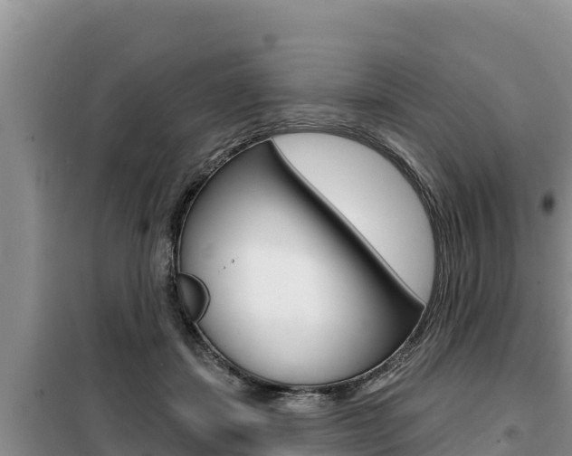 X0000099420459200805090755