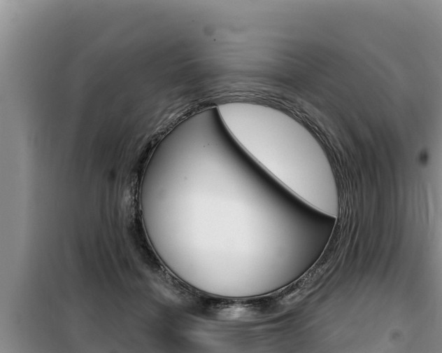 X0000099420460200805090755