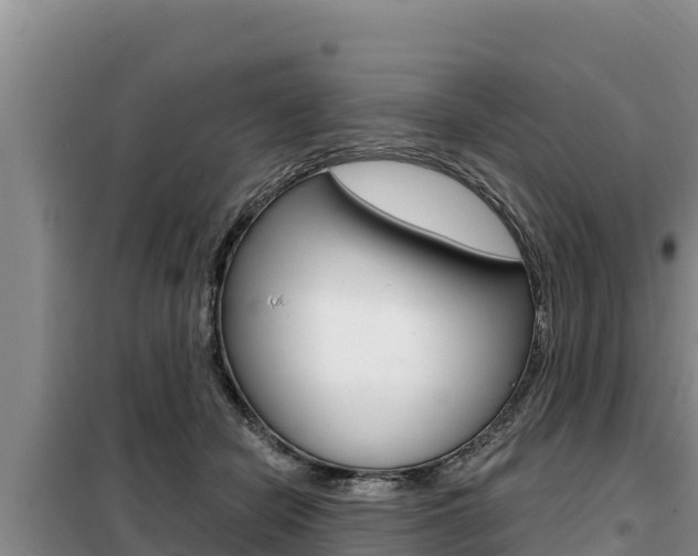 X0000099420462200805090755