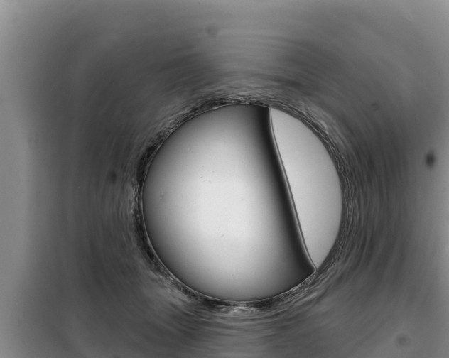 X0000099420463200805090755