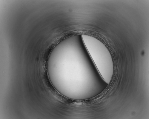 X0000099420464200805090755