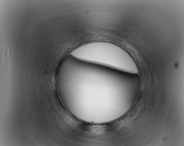 X0000099420465200805090755