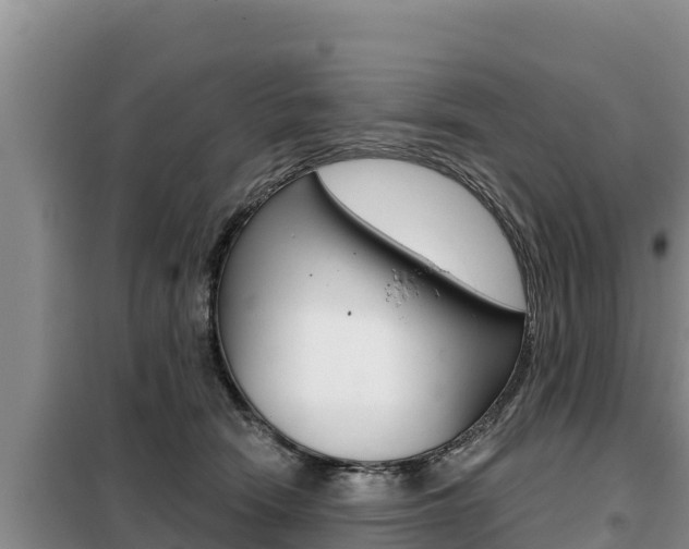 X0000099420466200805090755