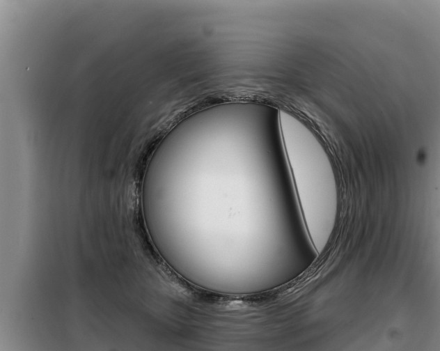 X0000099420467200805090755