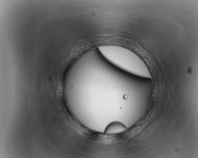 X0000099420469200805090755