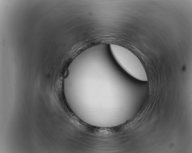 X0000099420475200805090755
