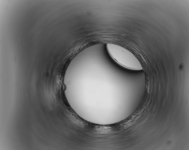 X0000099420476200805090755