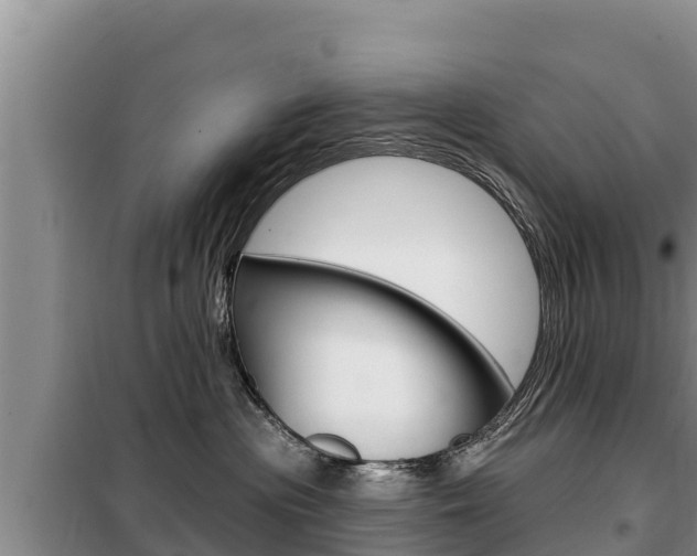 X0000099420477200805090755