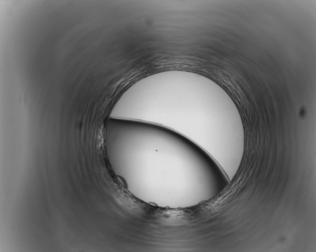 X0000099420478200805090755