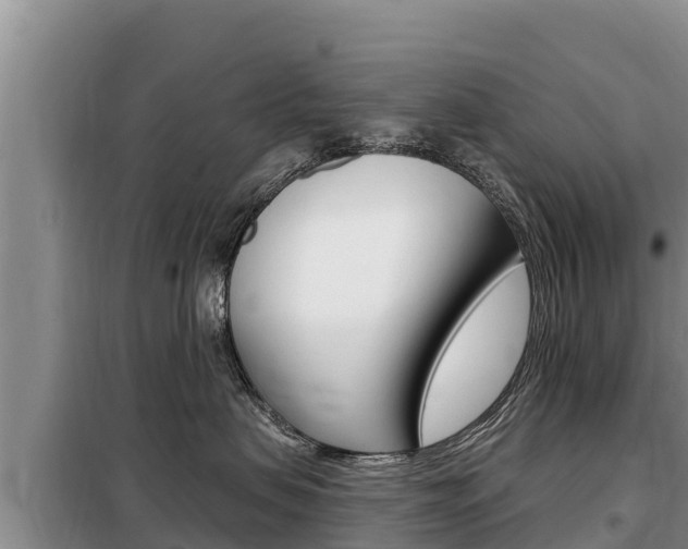 X0000099420479200805090755