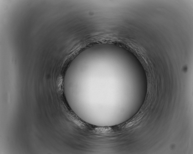 X0000099420480200805090755