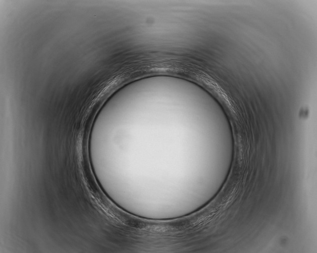 X0000099420482200805090754