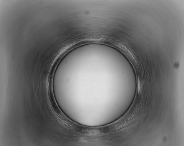 X0000099420483200805090754