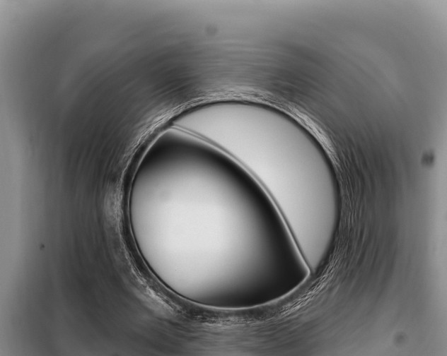 X0000099420485200805090754