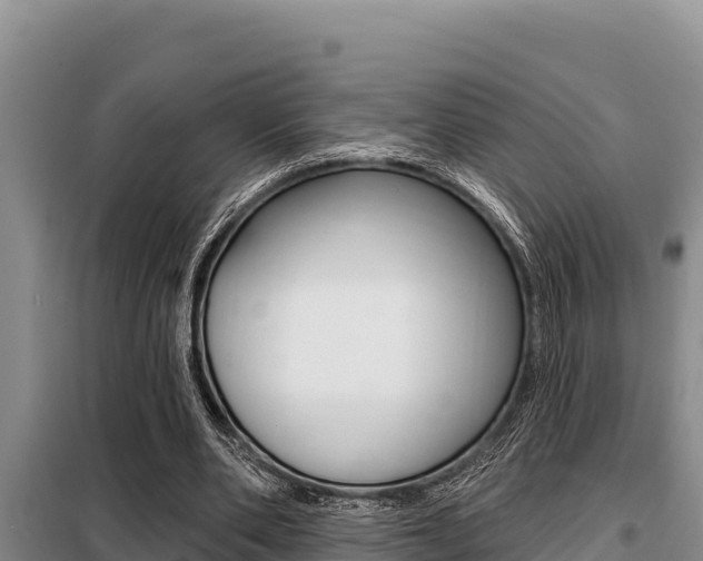 X0000099420486200805090754