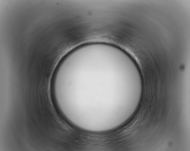 X0000099420487200805090754