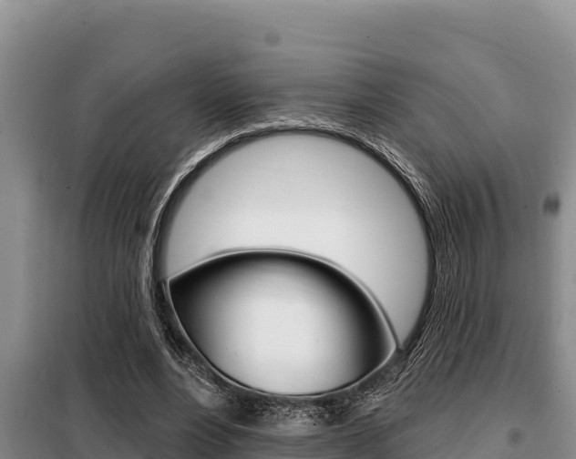X0000099420488200805090754