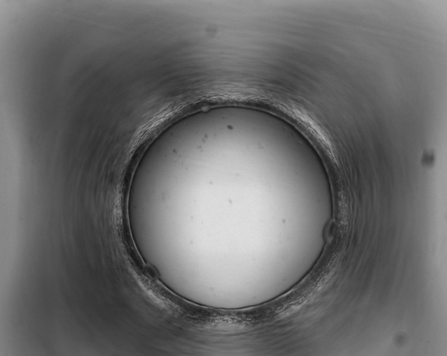 X0000099420489200805090754