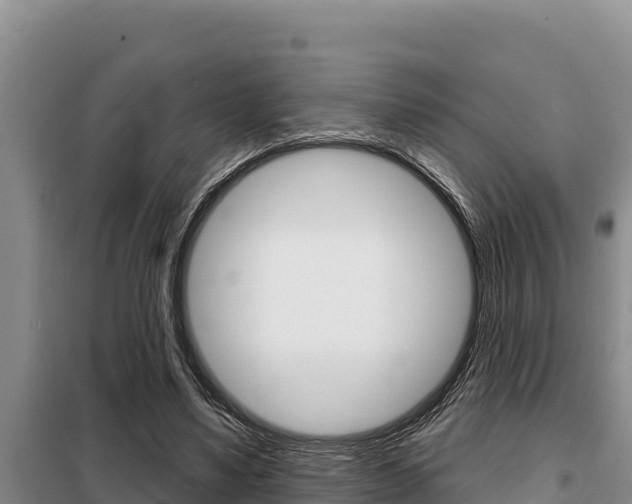 X0000099420491200805090754