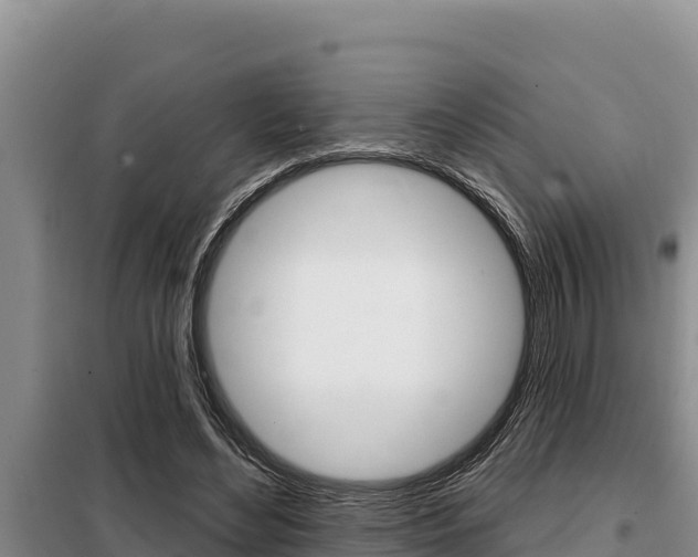 X0000099420492200805090754