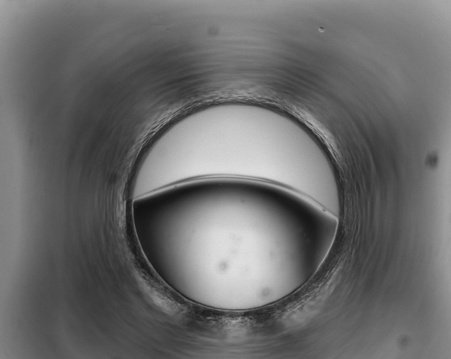 X0000099420493200805090754