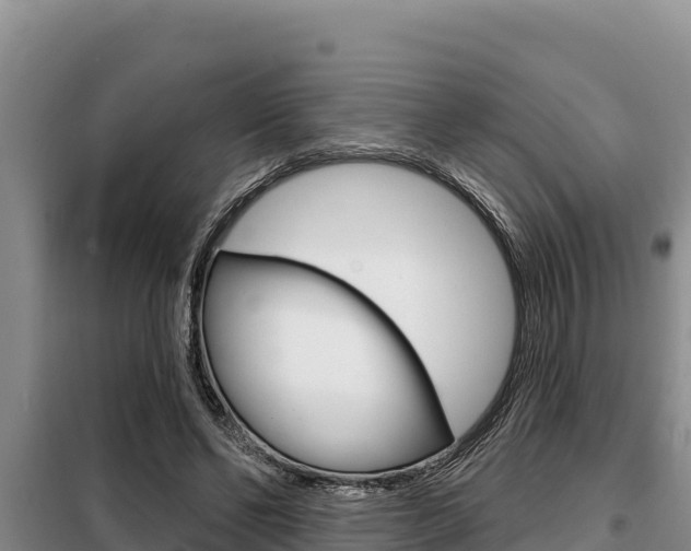 X0000099420494200805090754