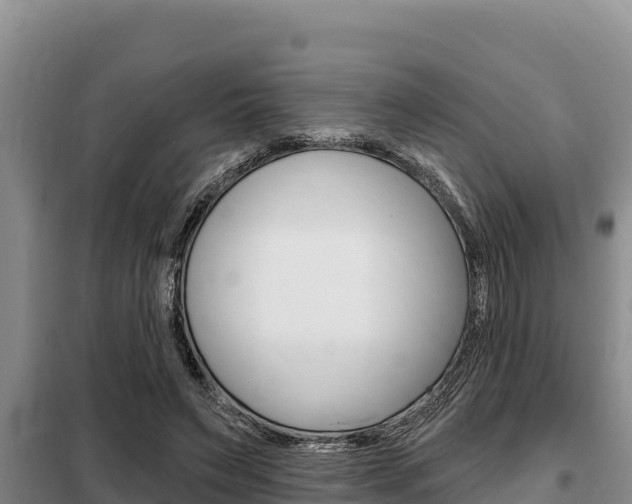 X0000099420495200805090754
