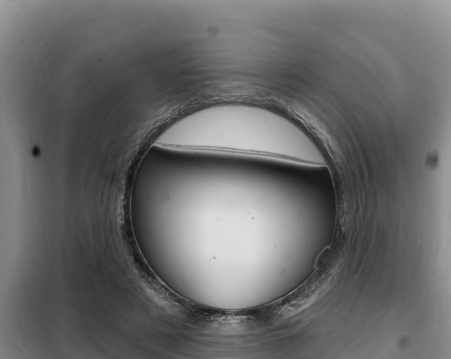 X0000099420497200805090754