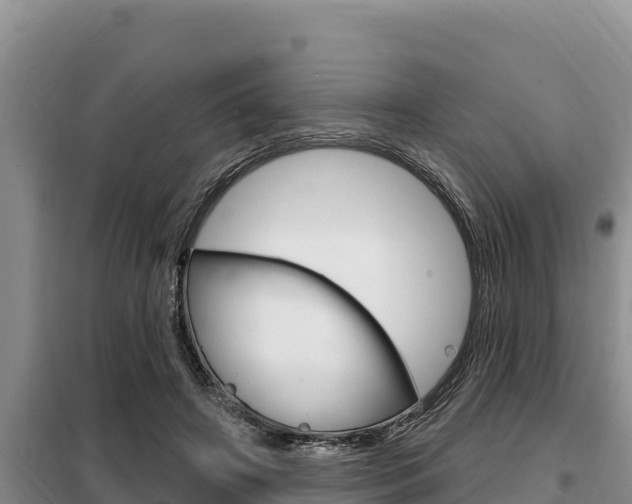 X0000099420498200805090754