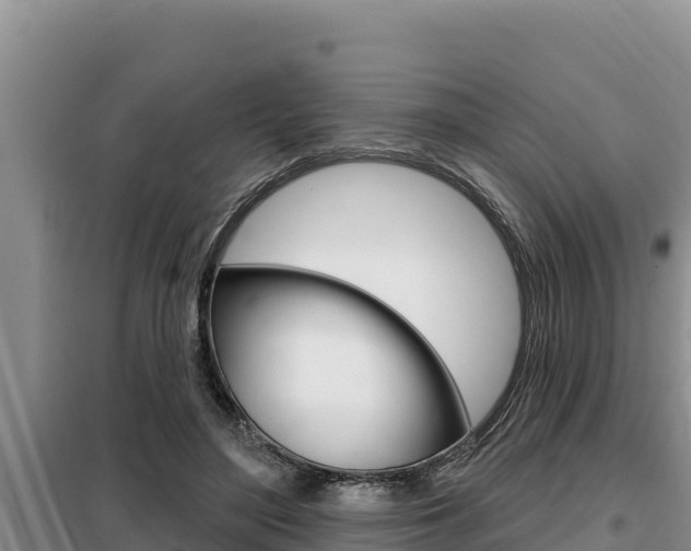 X0000099420500200805090754