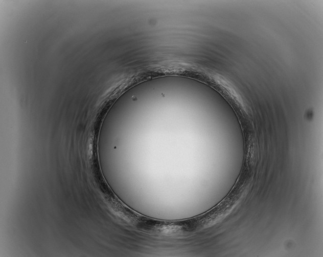X0000099420501200805090754