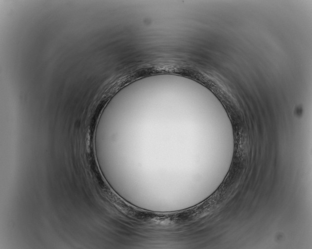 X0000099420502200805090754