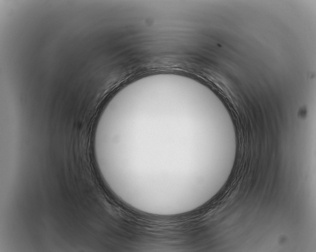X0000099420503200805090754