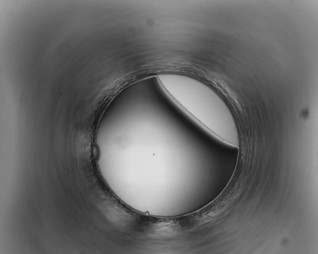 X0000099420505200805090754