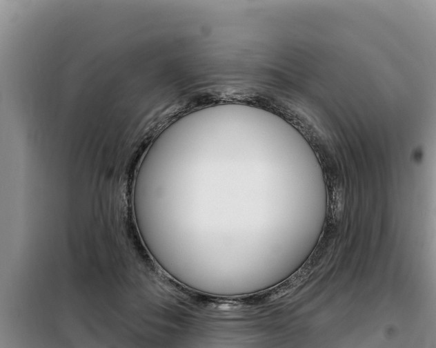 X0000099420506200805090754