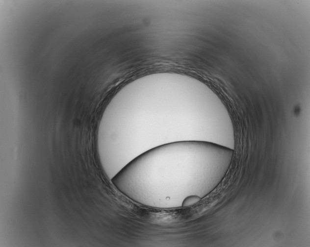 X0000099420511200805090754