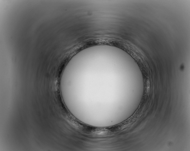 X0000099420514200805090754