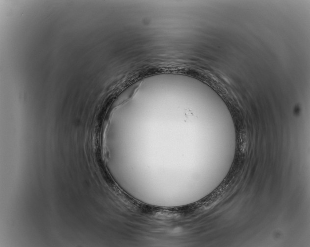 X0000099420515200805090754