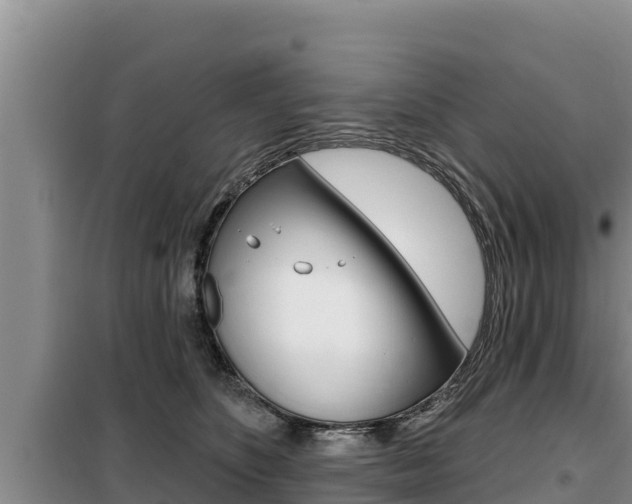 X0000099420516200805090754