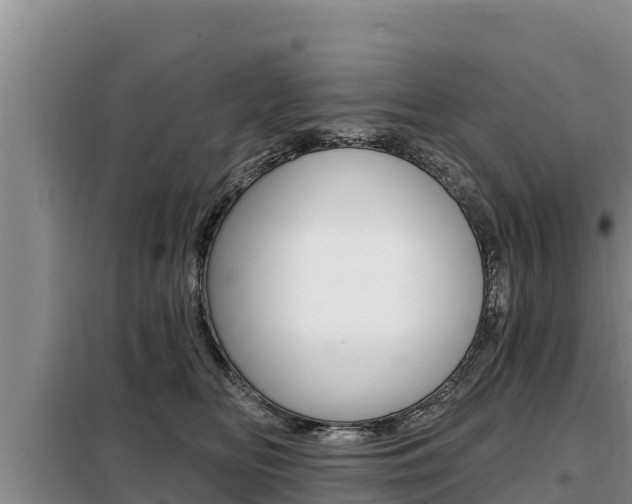 X0000099420518200805090754