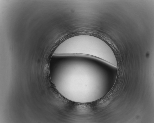X0000099420521200805090754