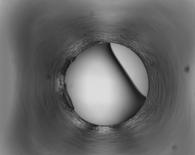 X0000099420528200805090754