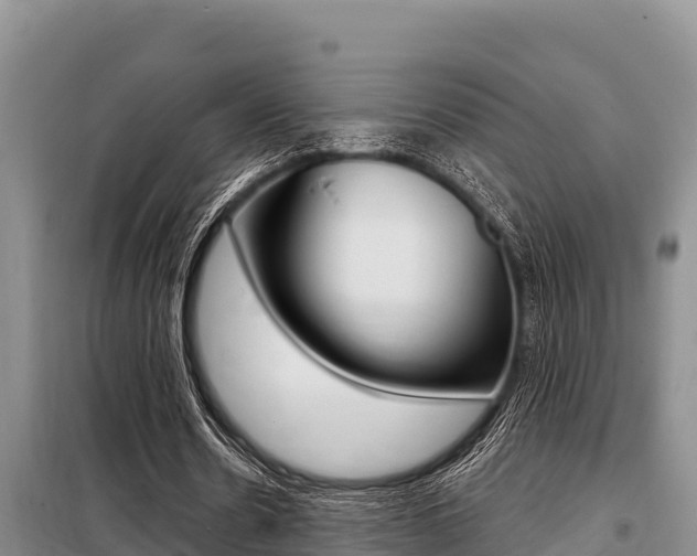 X0000099420530200805090753