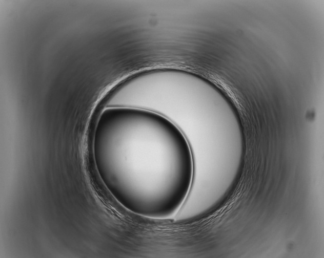 X0000099420532200805090753