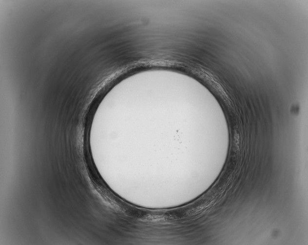 X0000099420534200805090753