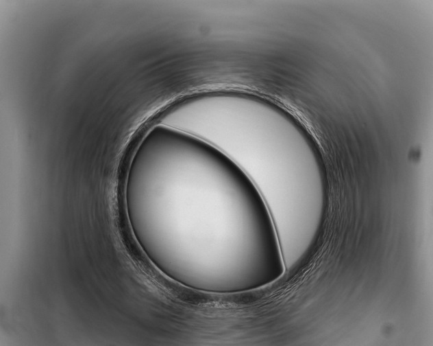 X0000099420535200805090753
