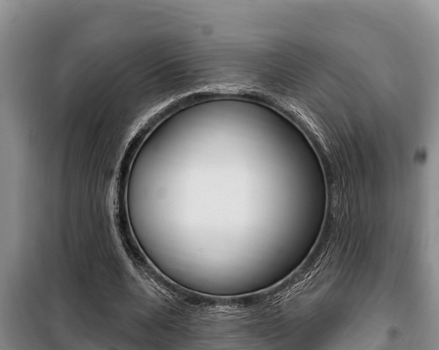 X0000099420536200805090753